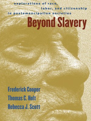 cover image of Beyond Slavery